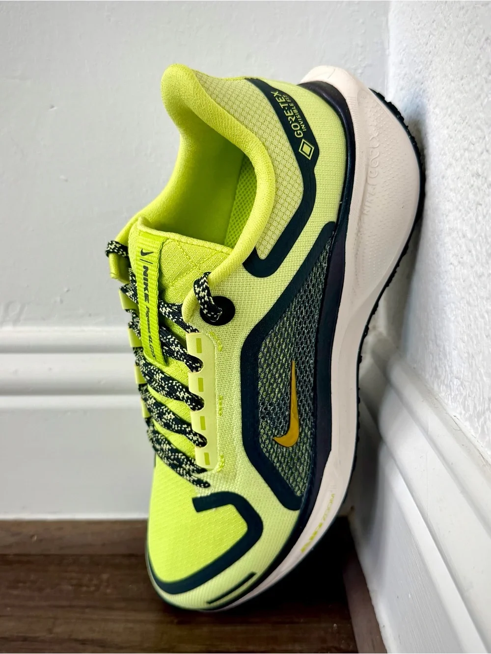 NEW Nike Air Zoom Pegasus 41 GTX Women’s 8.5